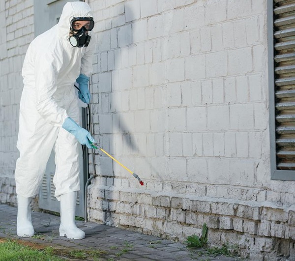 Best Termite Protection For Your Home Jims Building Inspections